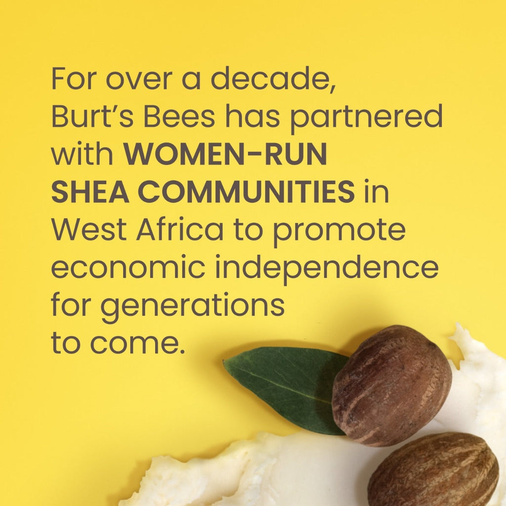 Shea + Coconut Oil Moisturizing Lip Balm