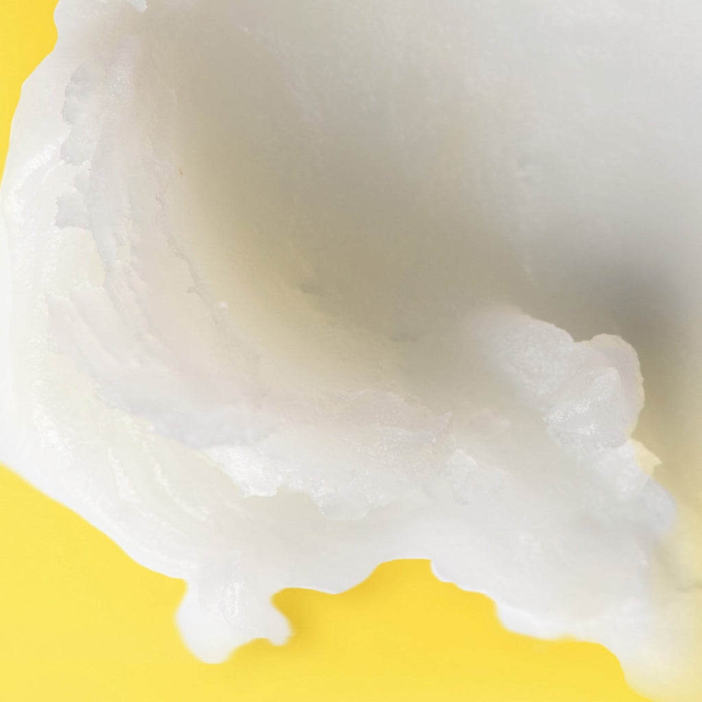 Shea + Coconut Oil Moisturizing Lip Balm